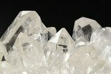 Clear Quartz Crystal Cluster - Brazil #258928-2